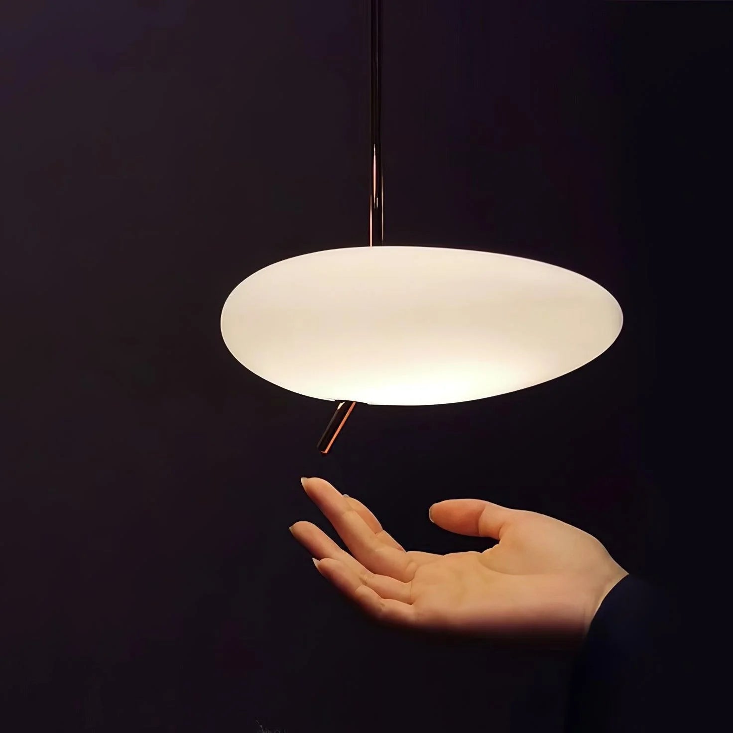 8056 Modern Pendant Lamp Hanging Dining Room LED Light