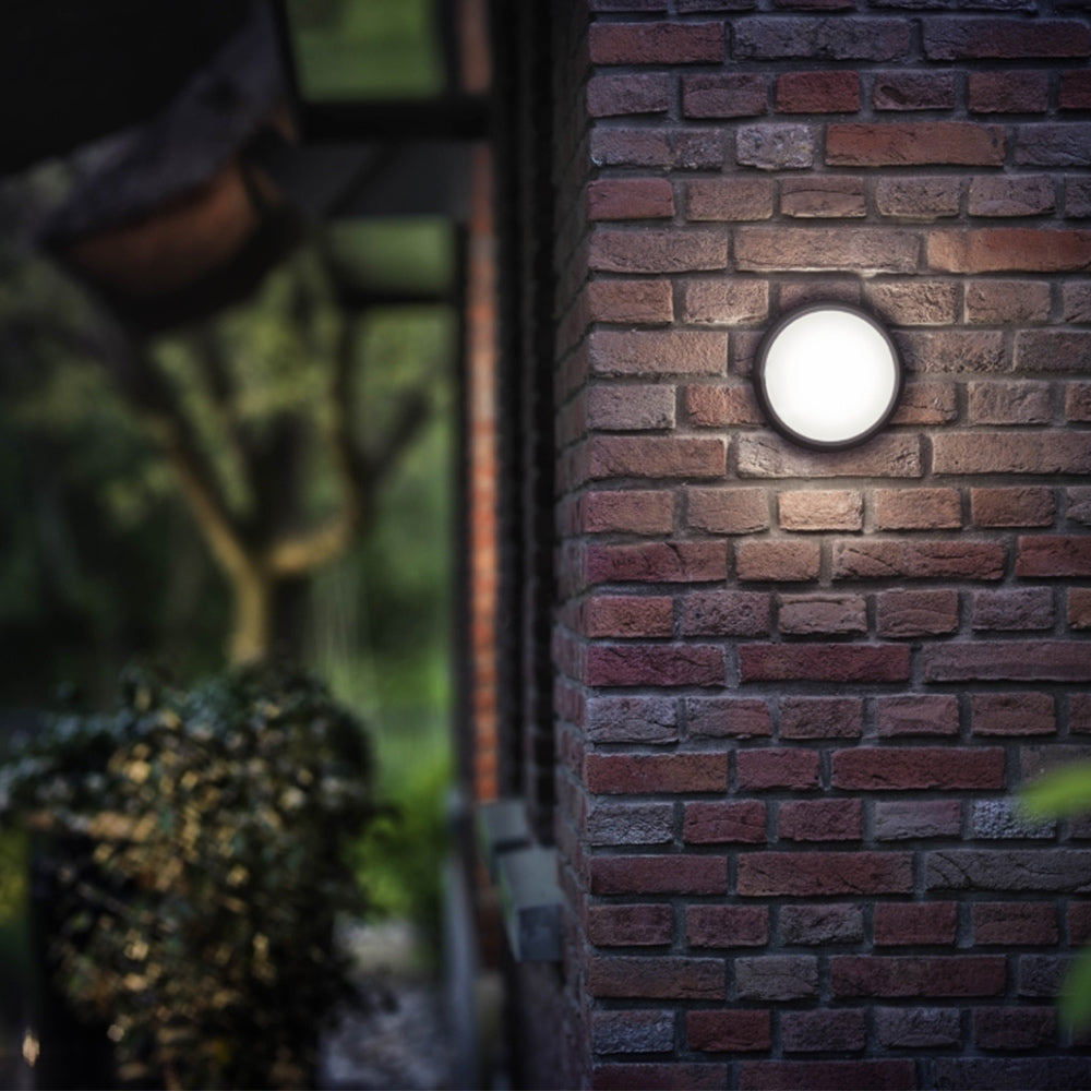 Eagle Garden Outdoor LED Wall Light by Philips (17304)