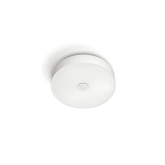 Load image into Gallery viewer,  Hue White Ambiance Fair Ceiling Light Philips 40340
