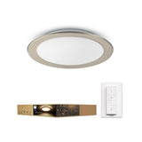 Hue White Ambiance Muscari Ceiling Light Philips 45037 