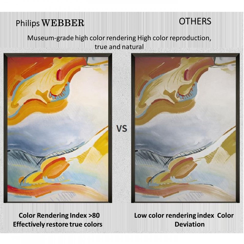 Philips Webber Spotlight (MODEL NO.: 581994)