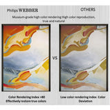 Philips Webber Spotlight (MODEL NO.: 581992)